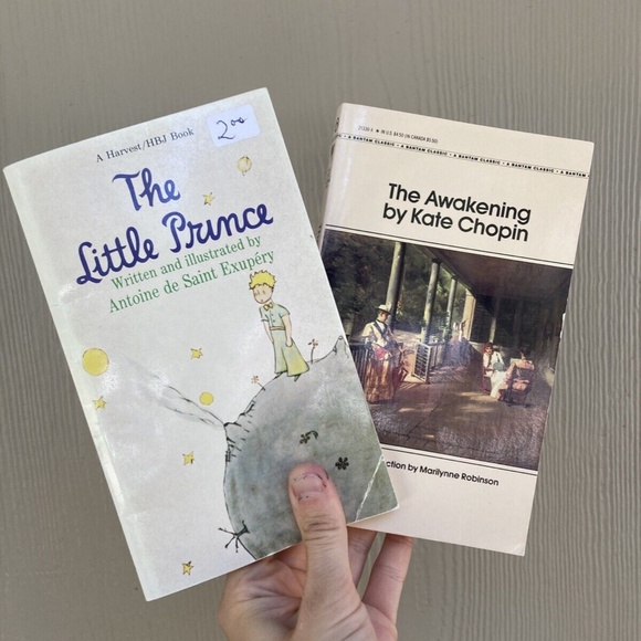 17 Paperback Books | Modern Vintage | Woolf, Updike, Delillo, Poe, Barnes, Ozeki - Picture 7 of 7